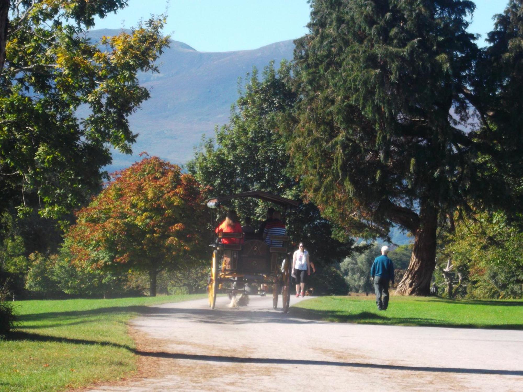 Kerry Holiday Homes At The Killarney Holiday Village Dış mekan fotoğraf