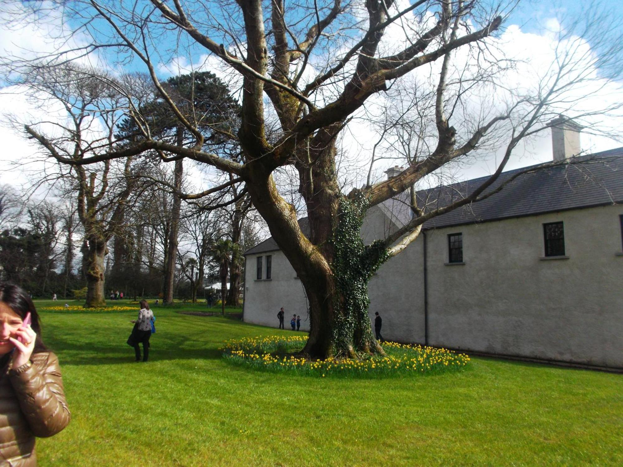 Kerry Holiday Homes At The Killarney Holiday Village Dış mekan fotoğraf