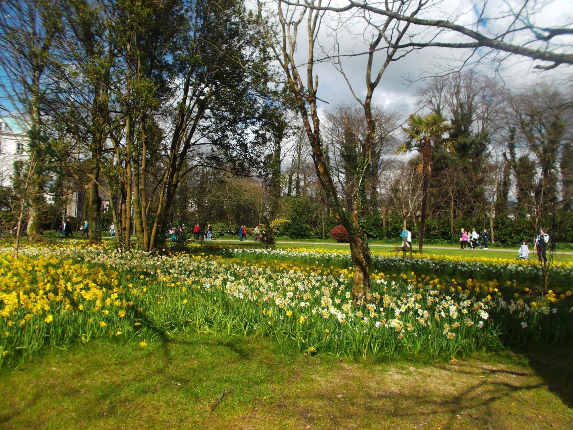 Kerry Holiday Homes At The Killarney Holiday Village Dış mekan fotoğraf